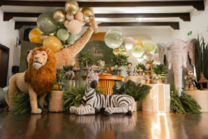Ambientes tematicos para festas em casa
