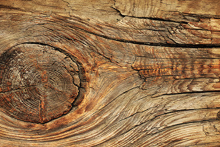 Texturas Naturais